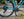 Kona Rove AL Gloss Blue