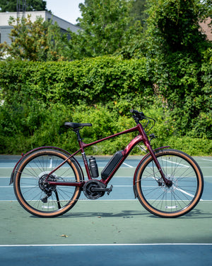 Marin Sausalito E1 Maroon