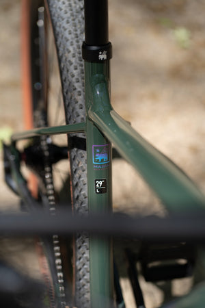 Marin Team Marin 1 2025