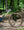 Marin Bobcat Trail 3 Blue Grey