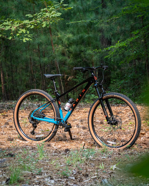 Marin Bobcat Trail 5
