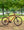 Marin Kentfield 1 Orange
