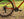 Marin Kentfield 1 Orange