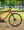Marin Kentfield 1 Orange