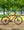 Marin Kentfield 1 Orange