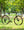 Marin Kentfield ST 2 Light Green Black