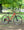 Marin Kentfield ST 2 Red