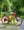 Marin Kentfield ST 2 Red