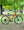 Marin Kentfield ST 2 Red
