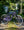 Marin Rift Zone 1  Dark Purple