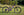 Marin Rift Zone 1  Dark Purple