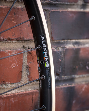 Outpost Dynamo ECO Hybrid Wheel DH-3D37