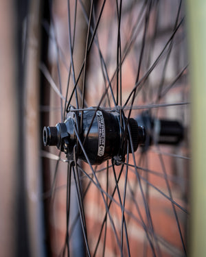 Outpost Dynamo Wheelset Hed DT SP 700c Belgium G i25