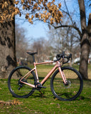 Cervélo Áspero Apex 1 54cm Rose Champagne
