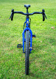 Surly Bridge Club Custom M 